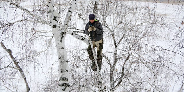 OMSK REGION, RUSSIA NOVEMBER 14, 2020: Student Alexei Dudoladov climbs a birch tree 300m away from his village of Stankevichi in order to pick up an internet signal. (Photo by Yevgeny SofiychukTASS via Getty Images)