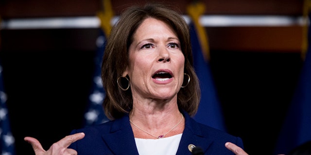 Rep. Cheri Bustos, D-Ill., seen here in 2017, announced she won't seek reelection.