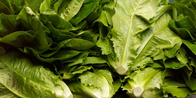 If you're cooking for a family, you'll need four cups of mixed greens to serve four people.