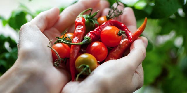 Chili has anti-inflammatory, antioxidant, anticancer and blood sugar regulating properties.  (iStock)