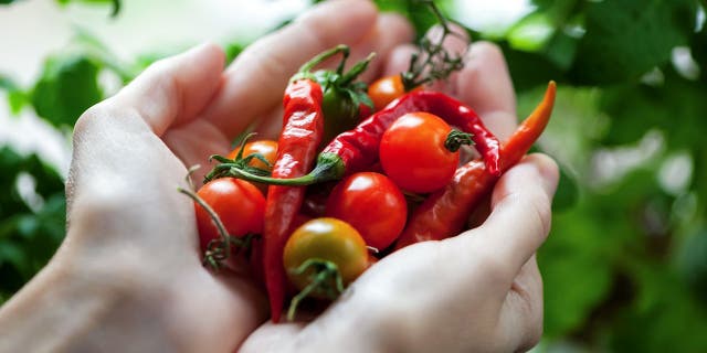 Chili peppers have anti-inflammatory, antioxidant, anticancer and blood-glucose regulating properties. (iStock)