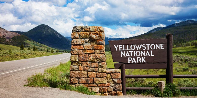 Officials at Yellowstone National Park stopped all bus traffic in the park last year in response to the pandemic.