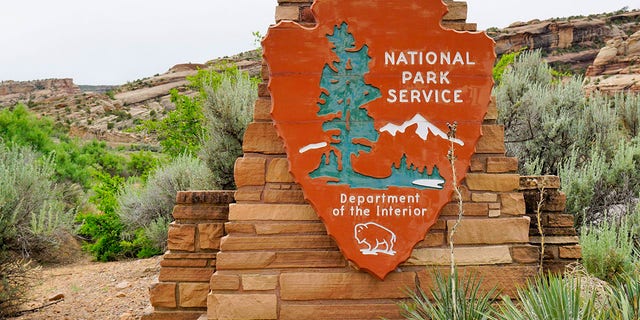 The National Park Service said they believe P-22 killed Piper.