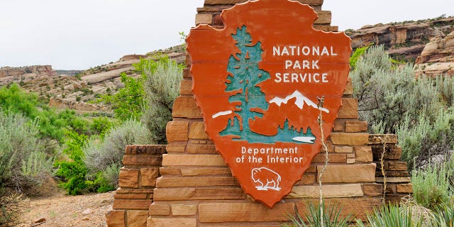 The National Park Service said they believe P-22 killed Piper.