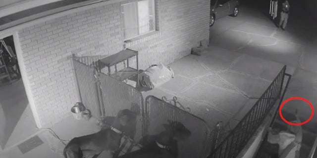 Surveillance video at the residence showed Johansen pointing what appeared to be a handgun at the officer before he was shot. (Weber County Attorney's Office)