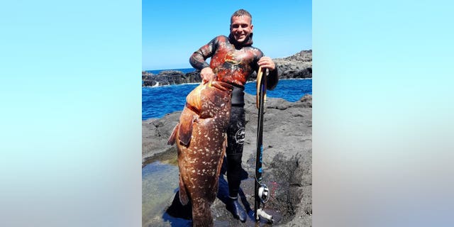 Borja Campos, 26, spotted this huge fish in a cave while trying to chase after a smaller fish. (SWNS)