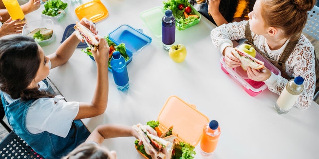school lunch
