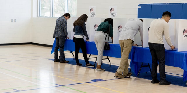 People of varying ages stand and vote at the voting booths set up against the wall of the school gym.