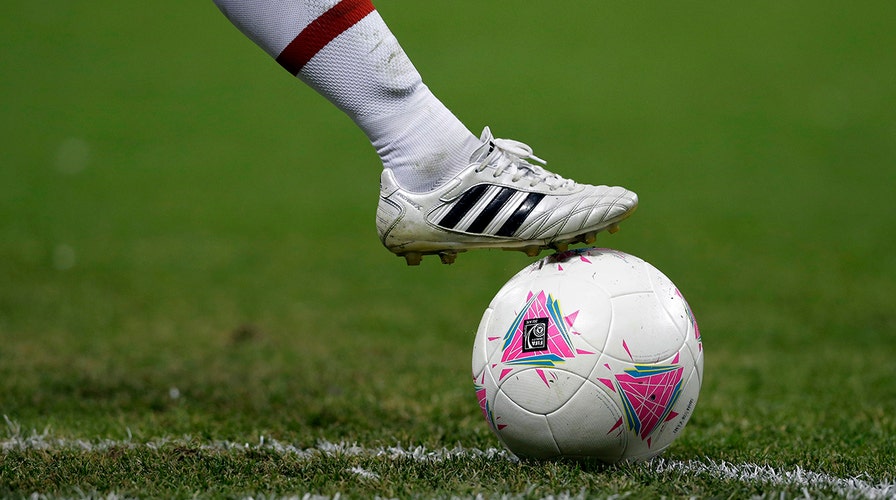 Fox News Flash top headlines for November 6