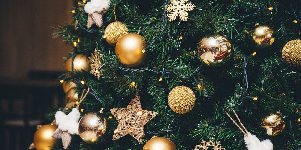 Massachusetts library will display Christmas trees after controversy turned 'neighbor against neighbor' - Vimarsana News
