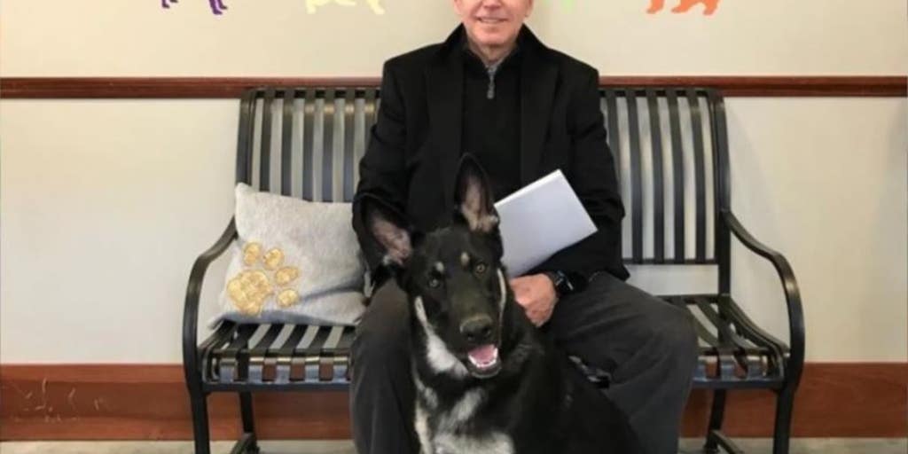 Biden battle over presidential pets shows relations with Secret Service are going to the dogs - Vimarsana News
