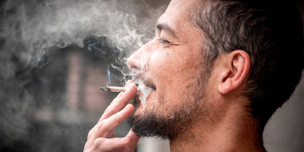 Legalizing pot is not good for New York or the US - Vimarsana News