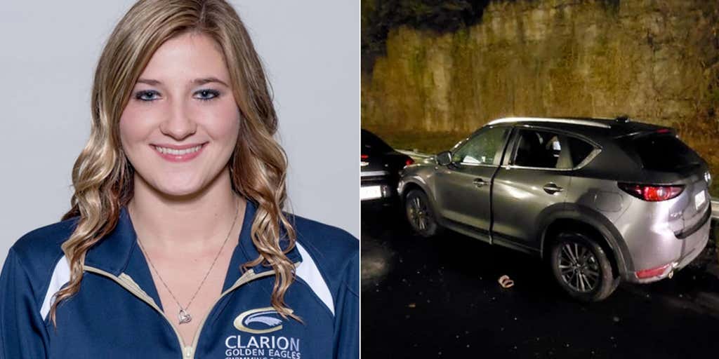 Nashville nurse's killer gets 25 years for road rage-induced shooting - Vimarsana News
