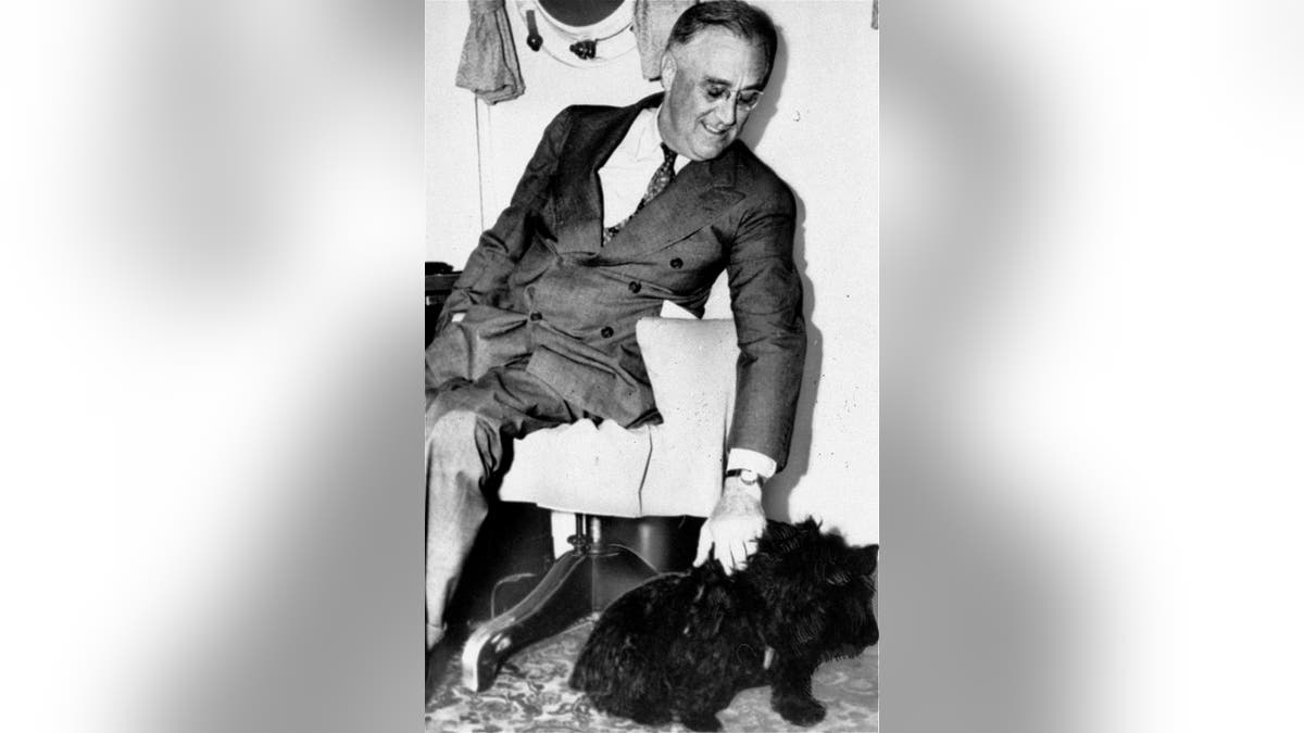 In this 1939, file photo President Franklin D. Roosevelt pets Fala, his Scottish terrier in Washington. (AP Photo)