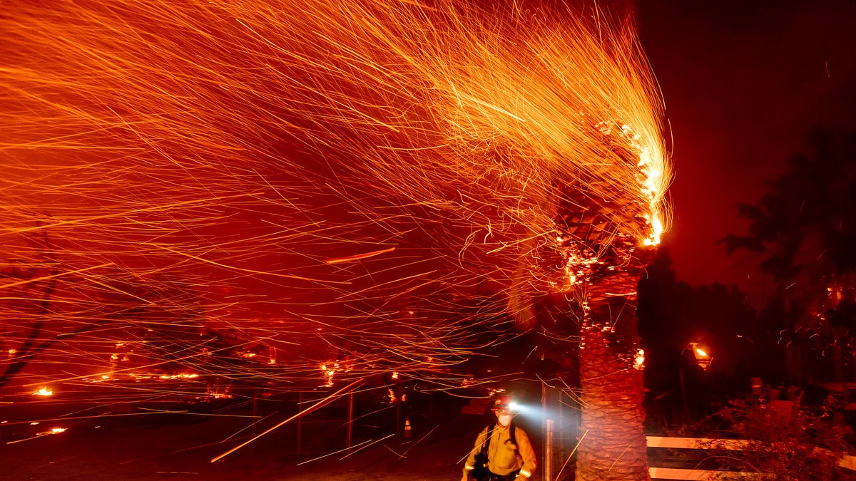 A firefighter passes a burning tree while battling the Bond Fire in the Silverado community of Orange County, Calif., on Thursday, Dec. 3, 2020. (AP Photo/Noah Berger)