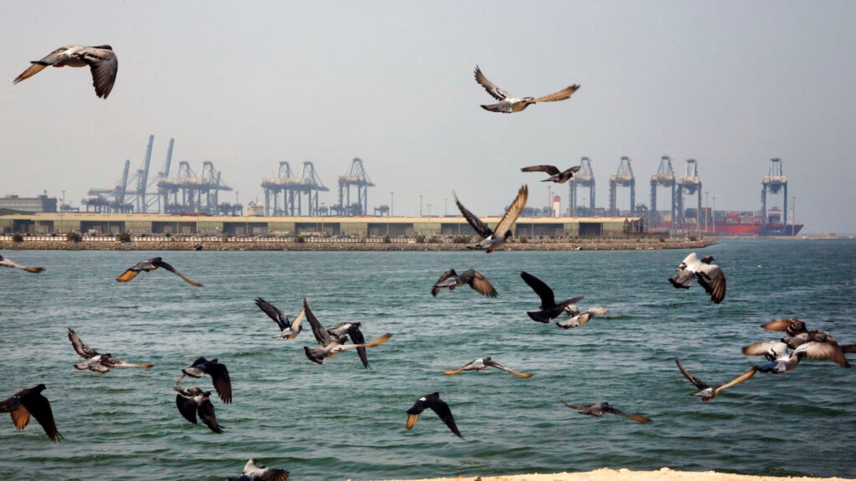 FILE - In this Oct. 11, 2019, file photo, seagulls fly in front of the Red Sea port city of Jiddah, Saudi Arabia. (AP Photo/Amr Nabil, File)