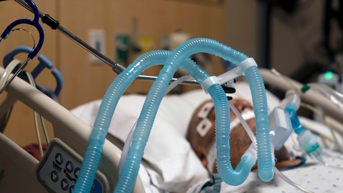 In this Nov. 19, 2020 file photo, ventilator tubes are attached a COVID-19 patient at Providence Holy Cross Medical Center in the Mission Hills section of Los Angeles. (AP Photo/Jae C. Hong, File) 
