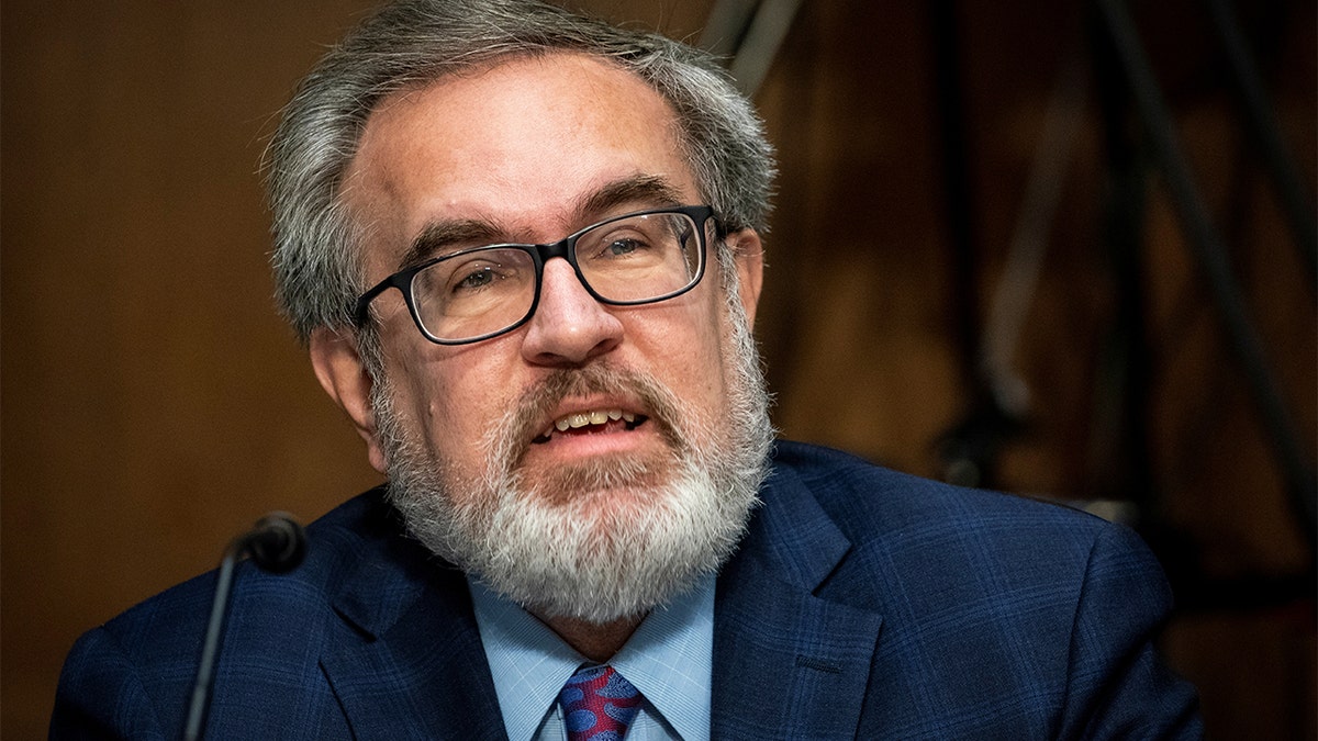 Andrew Wheeler, Administrator of the Environmental Protection Agency (EPA), speaks during a Senate Environment and Public Works Committee hearing, on Capitol Hill in Washington, DC. 