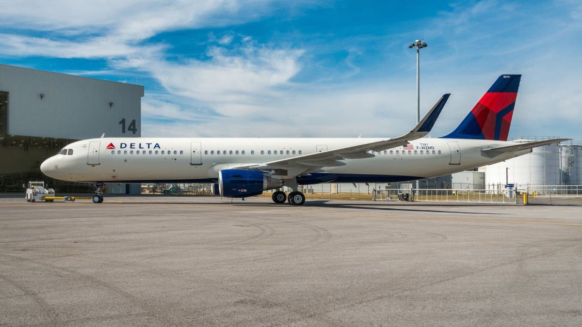 Two passengers and a service dog exited a Delta Air Lines flight through the emergency slide at LaGuardia Airport in Queens, N.Y. (Delta Air Lines)