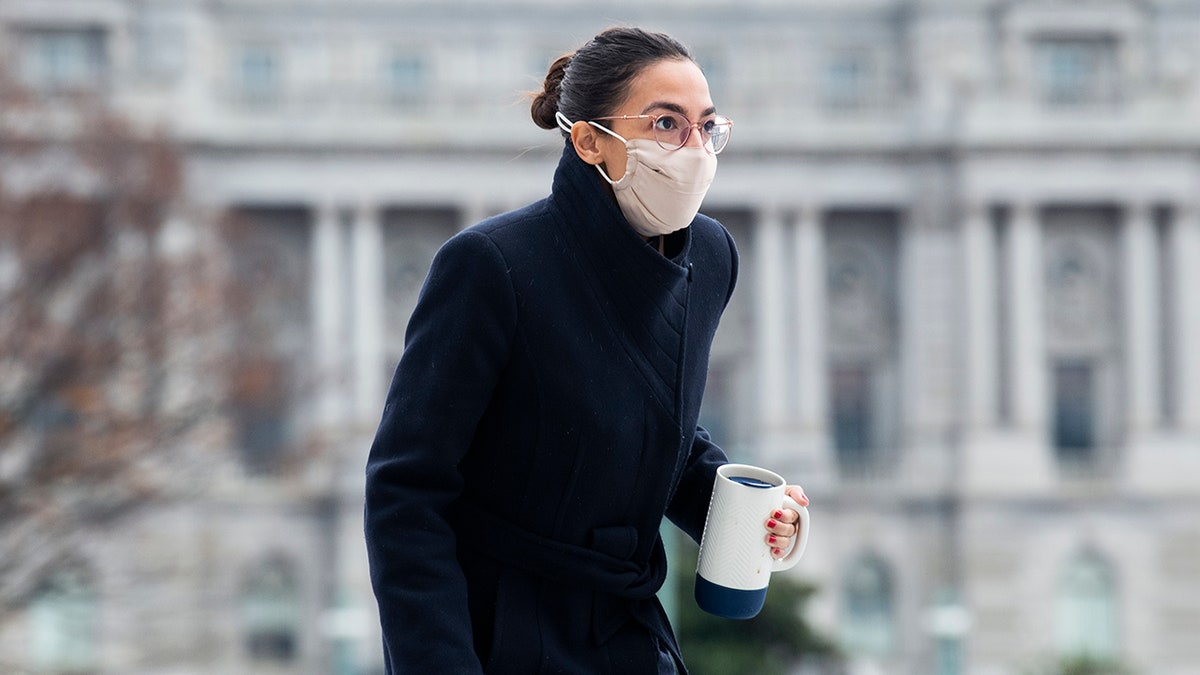Rep. Alexandria Ocasio-Cortez, D-N.Y., on the House steps of the Capitol during votes, Dec. 4, 2020. (Tom Williams/CQ-Roll Call, Inc via Getty Images)