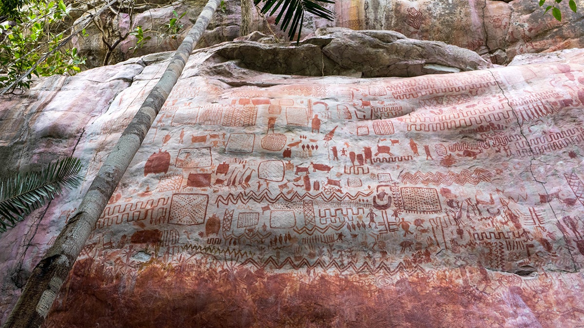 The rock art was discovered in the Colombian Amazon.