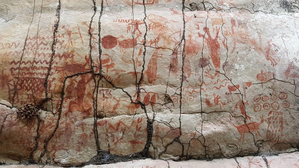 The rock art depicts a host of creatures.