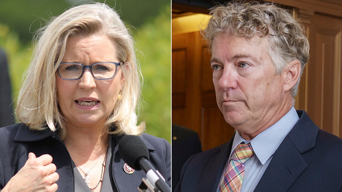 Rand Paul Accuses Liz Cheney Of Wanting Perpetual War She Takes A Shot At His Height Fox News