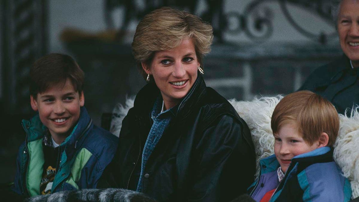 princess diana prince harry william royals