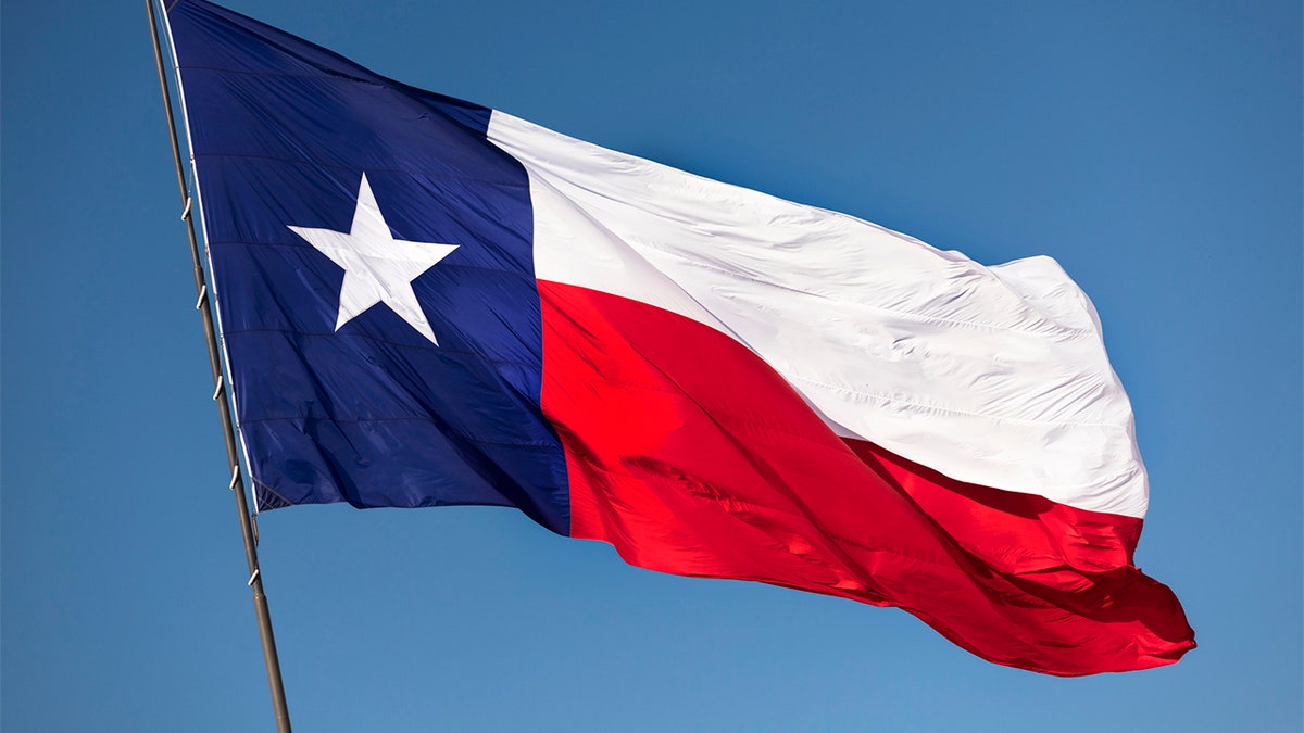 The state flag of Texas