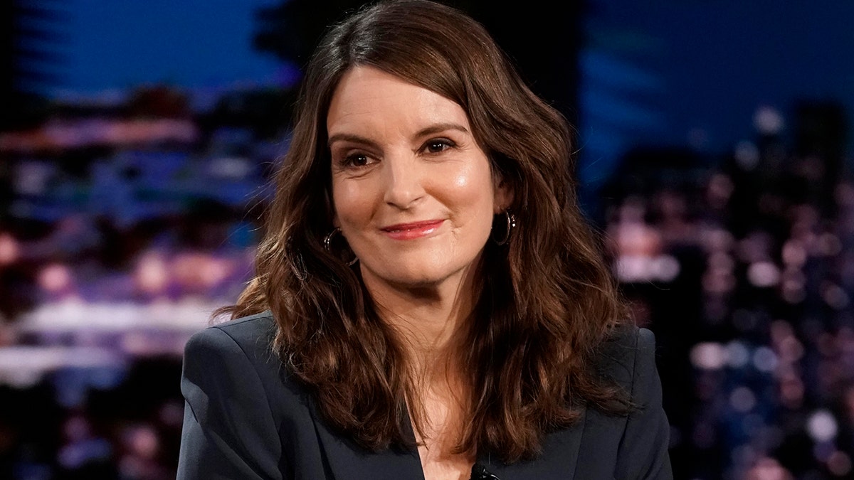 Tina Fey appeared on 'The Tonight Show' to talk about saving someone on the Hudson River.