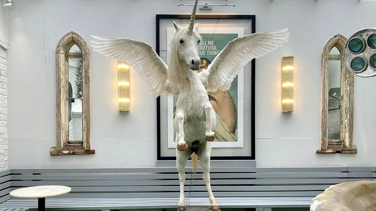 Bizarrely, the unicorn has been displayed in a coffee shop in South West London – until now.