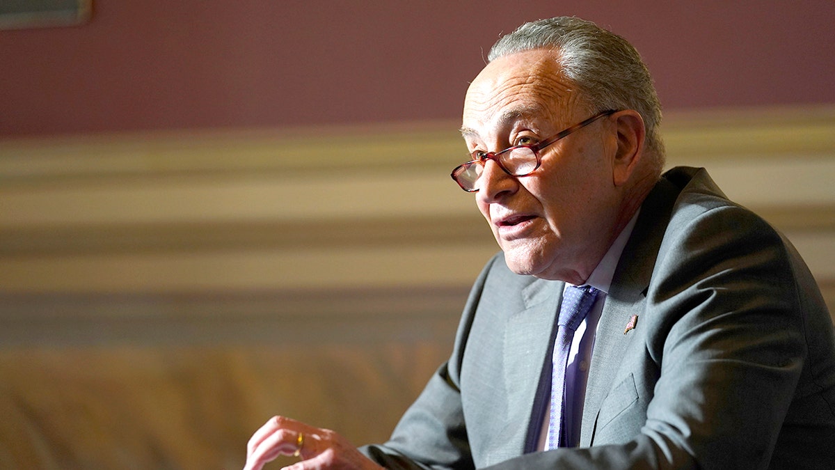 Senate Minority Leader Sen. Chuck Schumer of N.Y., speaks to reporters on Capitol Hill in Washington, Wednesday, Dec. 30, 2020, before his meeting with Transportation Secretary-designate Pete Buttigieg. Schumer is moving the Senate along the procedural path it would need to pass coronavirus stimulus as budget reconciliation, leaving Republicans and their calls for compromise behind -- but it's not clear he can round up all 50 Democrats to support President Biden's proposal. (AP Photo/Susan Walsh)