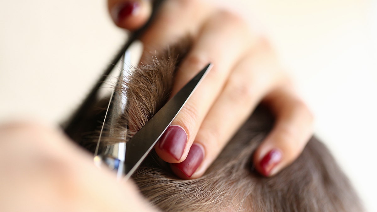 haircut brown hair scissors