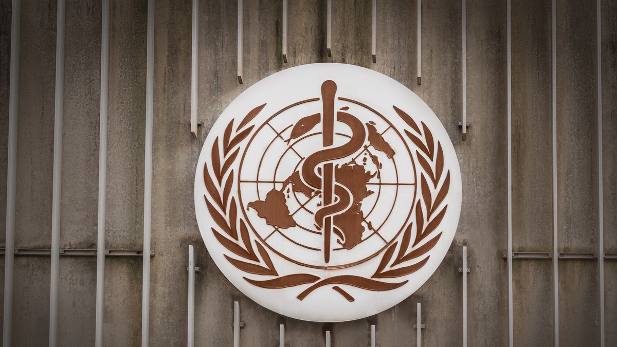 The World Health Organization has released the top t10 causes of death across the globe in 2019. (iStock)