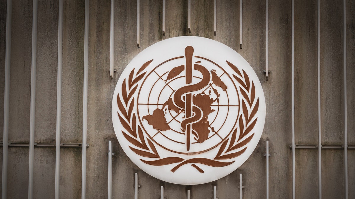 World Health Organization officials are uncertain of the UK virus strain's significance. (iStock)