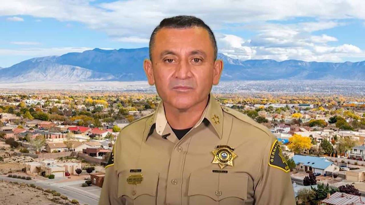 Bernalillo County Sheriff Manny Gonzales is running for Albuquerque mayor.