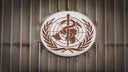 WHO announces committee to probe COVID-19 pandemic origins