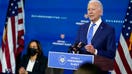 Biden, Harris accused of 'gaslighting' for suggesting Capitol Hill rioters, 'peaceful' BLM double standard
