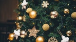 Background of fluffy branches green color New Year trees decorated with beautiful golden shiny sphere balls, toys and ornates