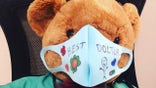 Teddy bear