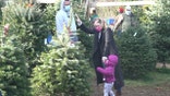 Christmas tree farmers across the country have reportedly seen a spike in sales.
