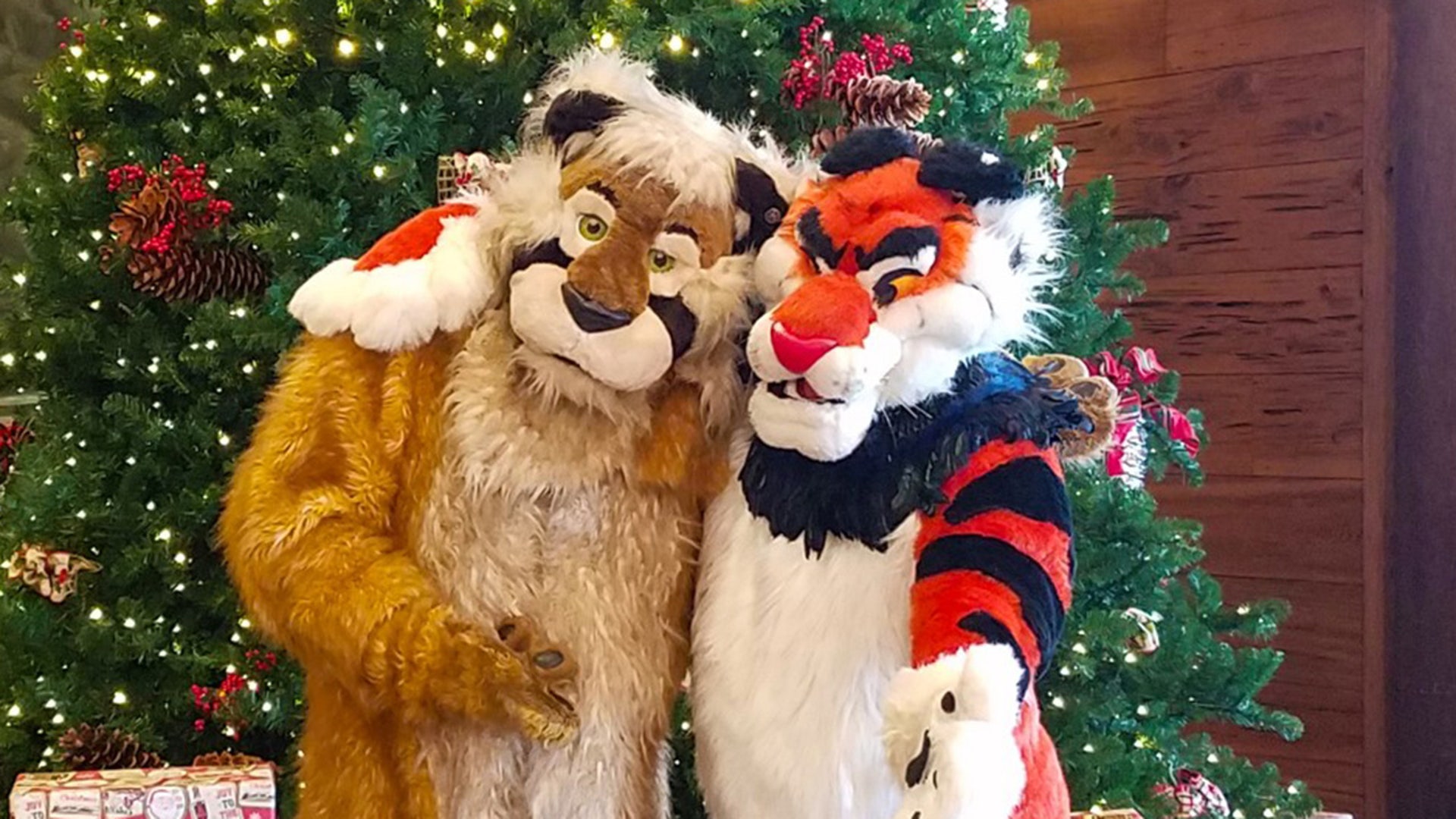 My friend and I love mascotting and do lots of charity work helping animals. We hope this photo of us brings everyone a moment of happiness in these difficult times. Cutter Cat Sabertooth and Chevy Tiger Memphis, Tennessee