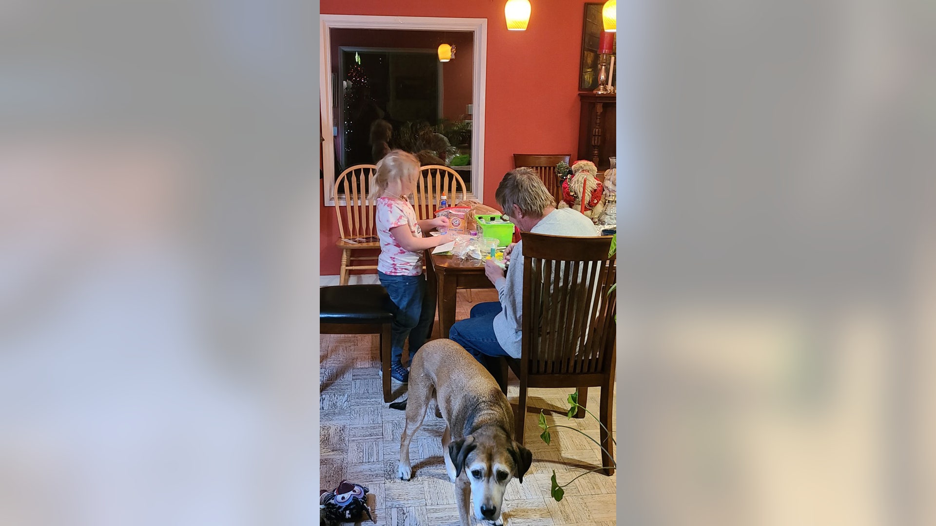 Dear Fox News Team, This year we are grateful for food on our table, a warm house, our sweet dogs and every blessing God gives us! Our sweet Dalmatian, Becky, loves the Christmas tree. She can be very mischievous! This year we are having family members come over one at a time to get their gifts. Last weekend my mom's great granddaughter, Danielle, who is 6 came over for her gifts. She loves making slime with Rob and she especially adores the corn snake, Copper. She is such a sweetheart! Our donations this year will go the Humane Society of Tacoma to help animals in need. With love, Mary, Robert, and Patricia (Mary's Mom)