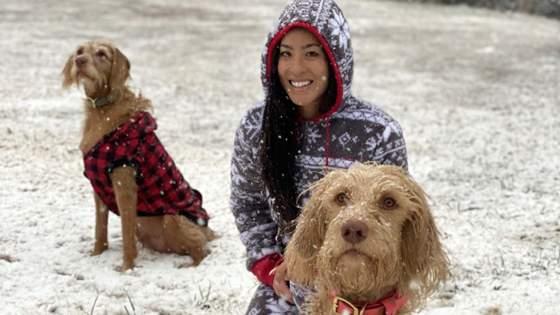 This is my beautiful wife Mariko McCall and our two hunting dogs Sailor and Remy! Both are wirehaired vizsla’s! Merry Christmas from Tellico Lake Tennessee!