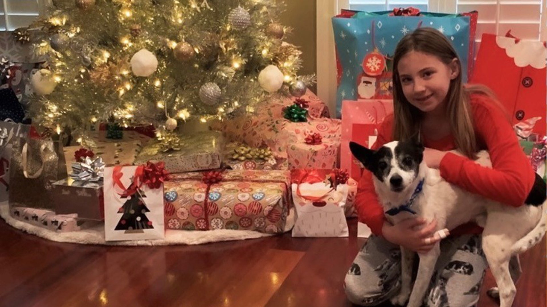 My names Amanda Northrup Me and my family are thankful this Christmas to be together. We are thankful to be healthy.Our senior adopted dog "Albert" with my daughter Coco.