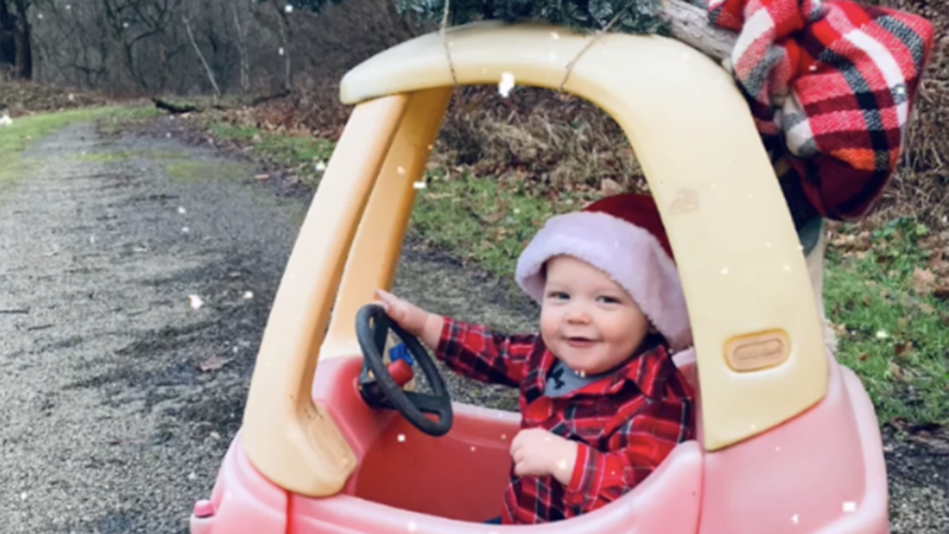 This Baylor, he is 1 year old and is getting his Christmas tree ready for Santa!