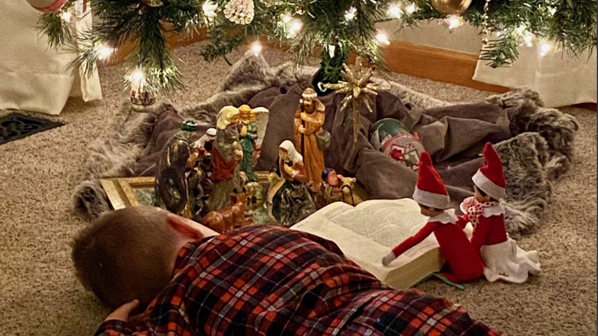 Chase Boyer of Ortonville, MI 4 years old admires the nativity under the tree