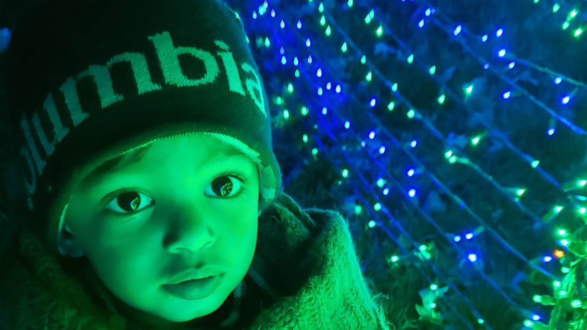 Christmas light walking tour !