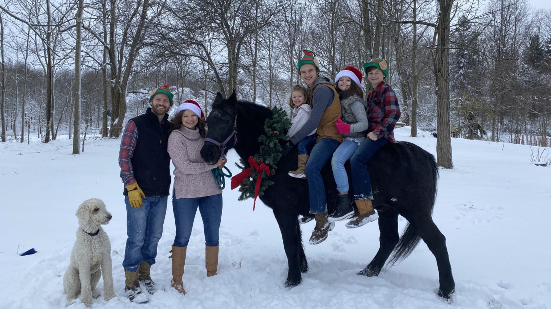 The pandemic brought a slower pace of life for our family of 6, and we’ve thankful that, having recovered from COVID, we have each other, our horses, and our faith that God remains constant and unchanging in an ever changing and uncertain works. Bellefontaine, OH