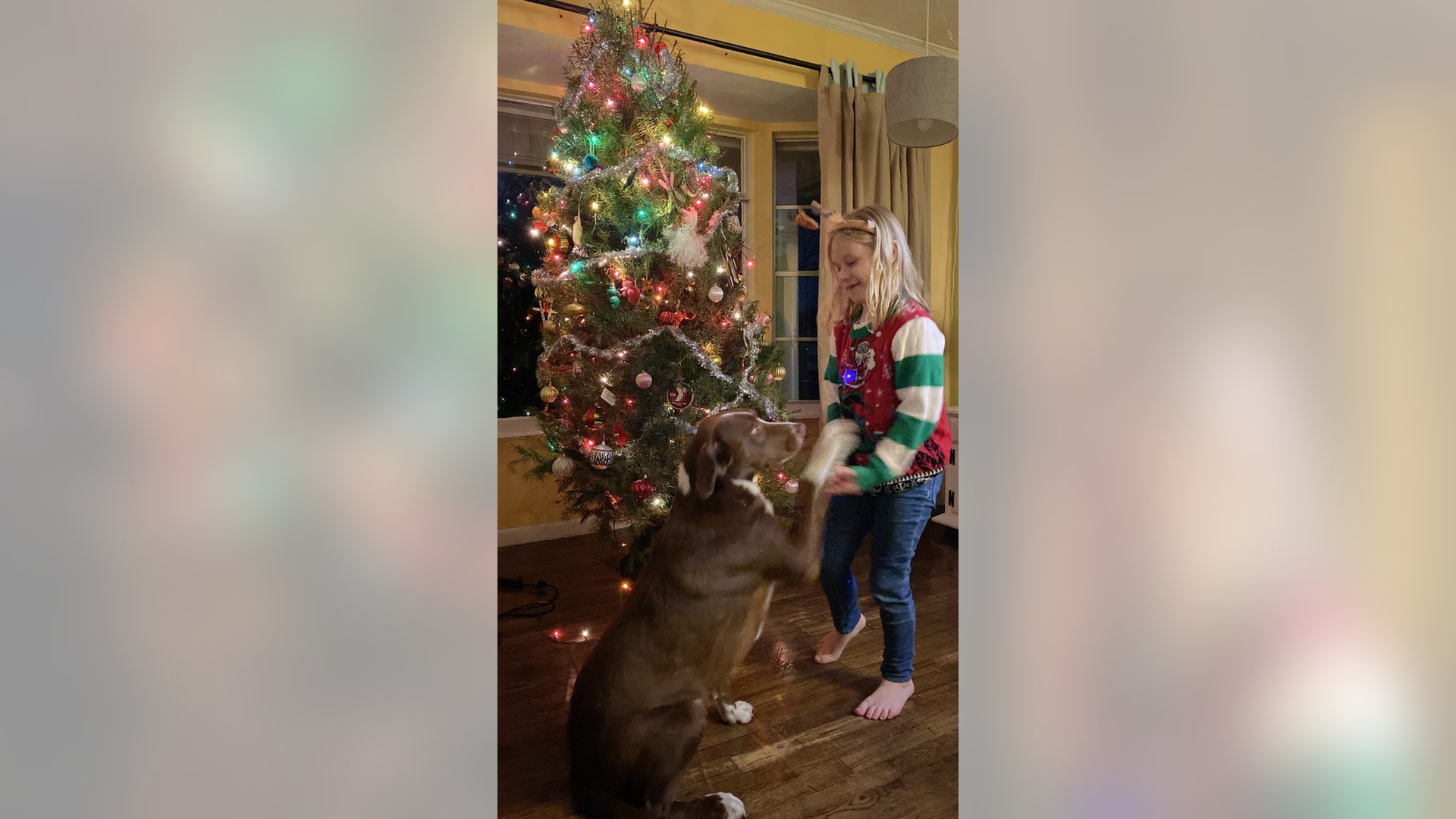 Hopefully I’m not too late and some single dads can get some love out there. This is my daughter, Gail Moore. She’s 8 years old and this is our dog Dr. Peter Vankman a.k.a. "Doc" and my name is Dad. It’s only the two of us. We live in Ft. Hood Texas. It’s just the two of us and Doc. Yeah, Christmas is tough….but we’re thankful for all that we do have and can celebrate.